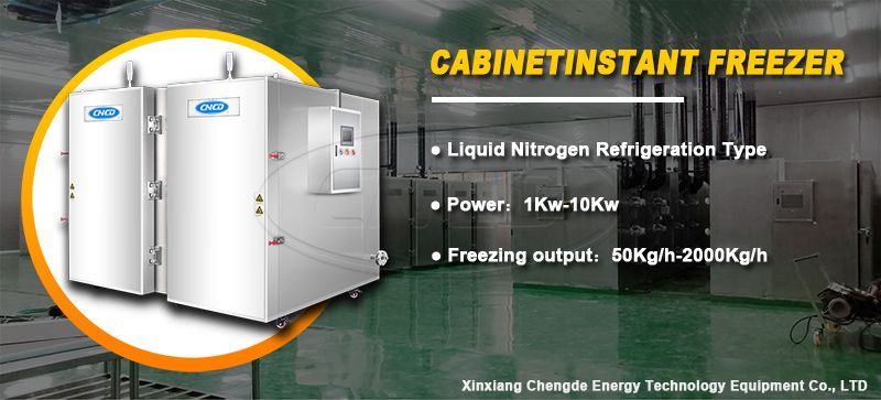 Liquid nitrogen freezer